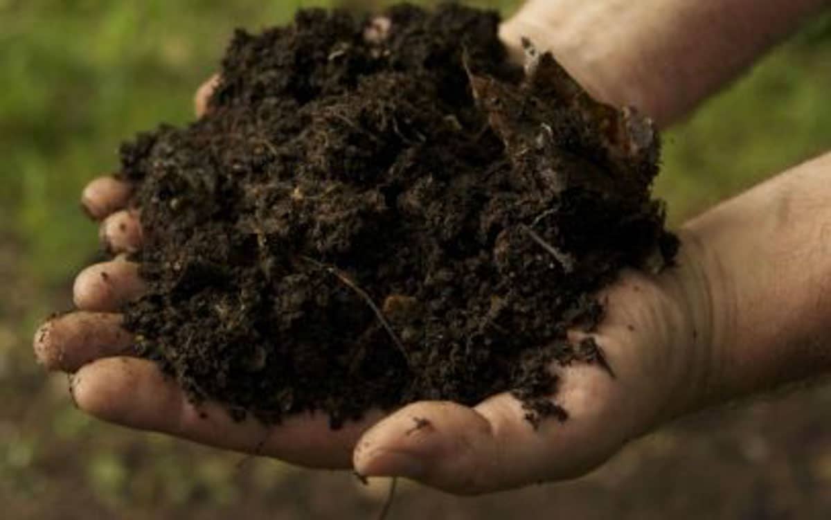 hands full of healthy soil and fertilizer, representing bioLawn's lawn care program in Woodbury, MN