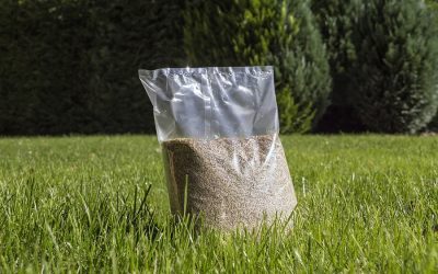 Why is the End of Summer and Early Fall the Best Time for Seeding?