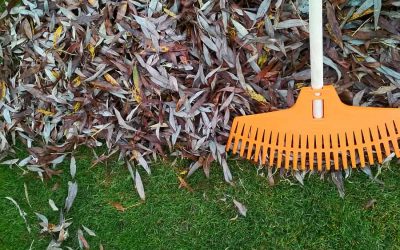 Boost Your Lawn’s Health with Late Fall Fertilization