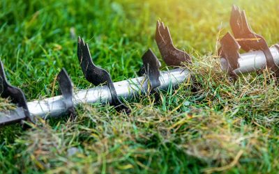 Core Aeration vs. Liquid Aeration: What’s Best For Your Lawn?