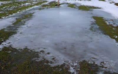 Tips on How to Care for Your Lawn This Spring