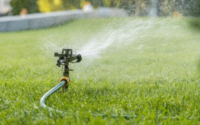 Tips on Maintaining your Lawn in the Spring and Getting a Jump on Crabgrass Control