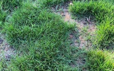 See Something Strange? – Send a Photo