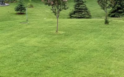 How Much Does Lawn Care Cost? Fertilization and Weed Control Plan