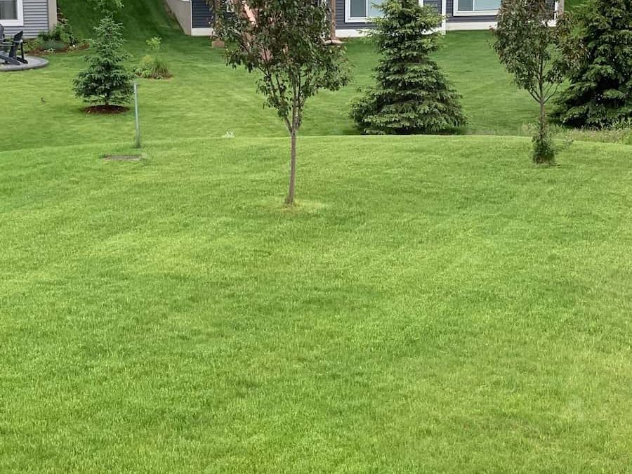 green lawn from biolawn