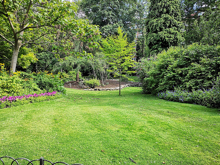 healthy green grass in yard to represent lawn care services provided by bioLawn in Shoreview, MN