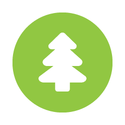 Tree Tree