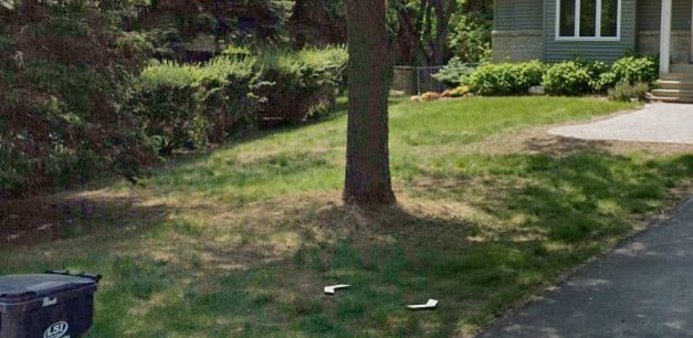 Lawn Transformation