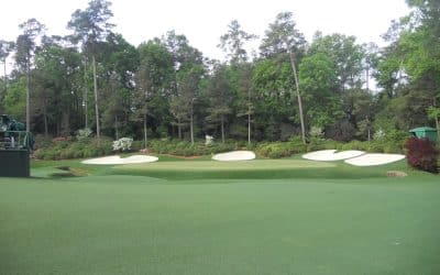 Golf Course Quality Lawn