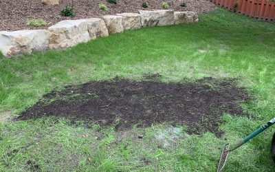 How to Repair Lawn Bare Spots