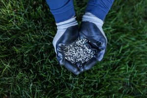 Fall Fertilization