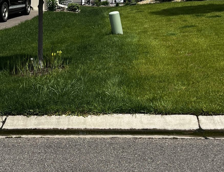 Spring Green up